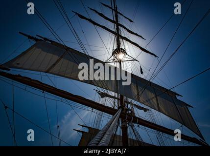 Vue sur le gréement d'un grand navire Sea Cloud Banque D'Images