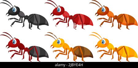 Ensemble d'illustrations isolées ANTS différentes Illustration de Vecteur