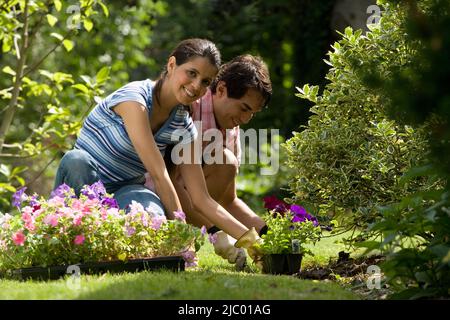 Portrait of Hispanic couple gardening Banque D'Images