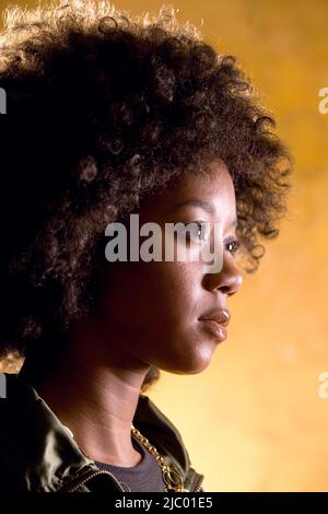 Portrait de femme africaine avec afro Banque D'Images