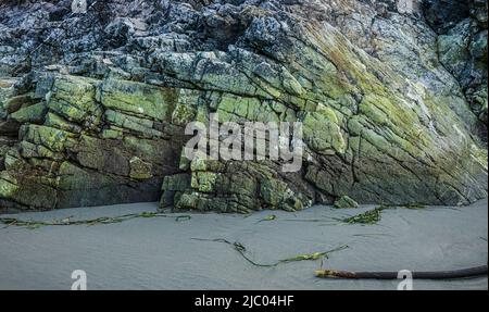 Là où les rochers rencontrent le sable sur la plage Tonquin, près de Tofino, C.-B., Canada. Banque D'Images