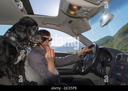 Femme conduisant une voiture avec son chien en Suisse. Banque D'Images