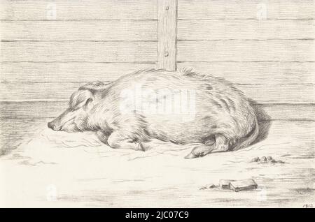 Cochon couché, à gauche, contre un abri, rapporteur pour avis: Jean Bernard, 1812, papier, h 162 mm × l 243 mm Banque D'Images