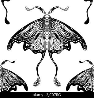 Motif vectoriel sans couture avec motif papillons de nuit décoratif boho. Texture monochrome avec motif papillon et toile de cerclage. Tissu entomologique. Fond d'écran Illustration de Vecteur