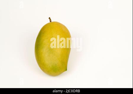 Vue en gros plan d'un seul Kesar Mango sur un fond blanc Banque D'Images