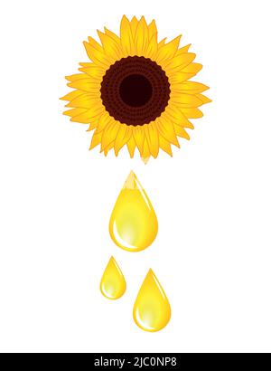 grosse goutte jaune d'huile de tournesol isolée sur blanc Illustration de Vecteur