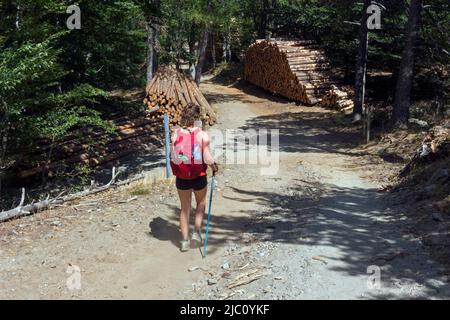 Sentier de randonnée en boucle de 4000 marches. Descente via aire de Côte depuis le sommet du Mont Aigoual. Valleraugue, Occitanie, France Banque D'Images