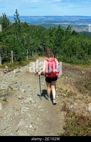 Sentier de randonnée en boucle de 4000 marches. Descente via aire de Côte depuis le sommet du Mont Aigoual. Valleraugue, Occitanie, France Banque D'Images