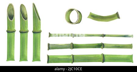 Illustration aquarelle d'un ensemble de pièces en bambou. Les tiges sont vertes avec différentes sections et sans. Banque D'Images