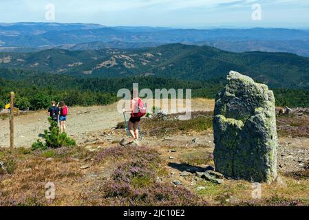 Sentier de randonnée en boucle de 4000 marches. Descente via aire de Côte depuis le sommet du Mont Aigoual. Valleraugue, Occitanie, France Banque D'Images