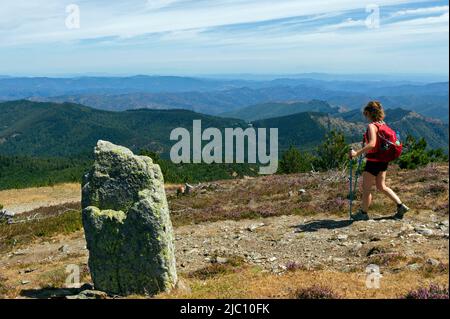 Sentier de randonnée en boucle de 4000 marches. Descente via aire de Côte depuis le sommet du Mont Aigoual. Valleraugue, Occitanie, France Banque D'Images