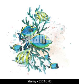 Les poissons tropicaux sont différents, lumineux avec des coraux, une tache et des éclaboussures de peinture. Illustration aquarelle. Composition pour la conception et la décoration de Banque D'Images