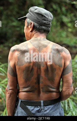 Portrait arrière de Ramping, membre de la communauté traditionnelle Dayak IBAN à Sungai Utik, Kalimantan occidental, Indonésie. Ancien avec de nombreux tatouages traditionnels sur son corps, M. Ramping était l'une des personnes les plus âgées de la communauté, jouant un rôle important dans les rituels et les traditions. Banque D'Images