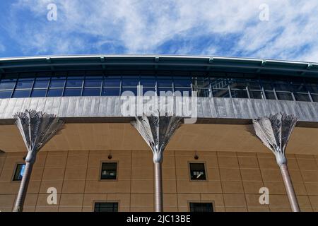 Wellington, Aotearoa / Nouvelle-Zélande – 5 décembre 2015 : colonnes de palmiers Nikau à la Bibliothèque de la ville de Wellington réalisées par l'artiste Ian Athfield. Banque D'Images