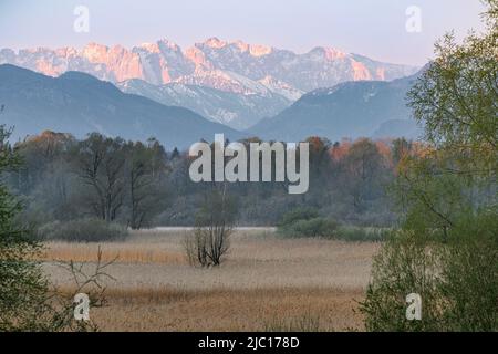 Kaiser montagnes dans la lumière rougeâtre du matin au-dessus de Grabenstaetter Moos, Allemagne, Bavière, lac Chiemsee Banque D'Images