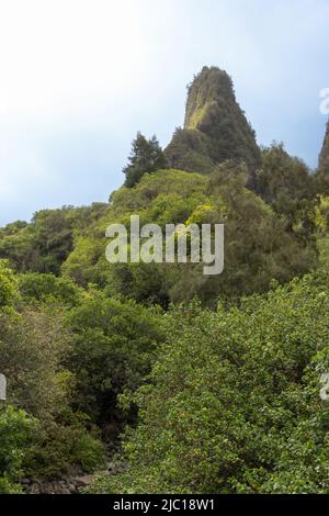 IAO Valley, Iao Needle, Kuka'emoku, Green rock needle, Etats-Unis, Maui, parc national d'Iao Valley Banque D'Images