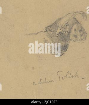 Tête d'oiseau, dessinateur: Adolf le Comte, 1860 - 1921, papier, h 140 mm × l 94 mm Banque D'Images