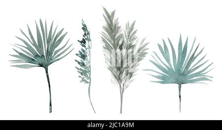 Décor aquarelle avec feuilles tropicales. Collection abstraite avec pampas séché herbe et branches de palmier. Décoration intérieure de style boho moderne. Banque D'Images