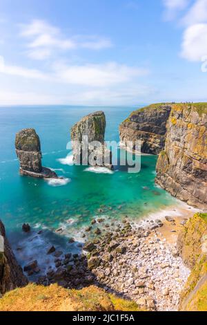 Vue portrait de Stack Rocks par une journée ensoleillée - Pembrokeshire, pays de Galles, Royaume-Uni Banque D'Images