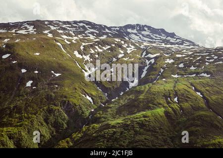 Pente verte juteuse d'une montagne surcultivée avec une végétation dense et des patchs de neige. Paterns et textures sur support haut. Banque D'Images