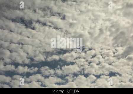 Nuages de Cirrus dans le ciel. Paysage céleste. Vue de la turbidité de la lumière. Banque D'Images