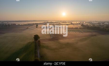 Drone aérienne photo d'une belle plantation agricole verte et jaune bordant les forêts sauvages en Belgique, en Europe avec les rayons dorés du soleil créant une couverture magique sur les champs de ferme verts. Champs de légumes, vignobles. Croissance industrielle massive de la culture alimentaire écologique. Photo de haute qualité Banque D'Images