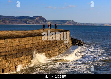 Le faible soleil d'hiver illumine le brise-lames Cobb et Golden Cap Beyond à Lyme Regis sur la côte jurassique, Dorset, Angleterre, Royaume-Uni Banque D'Images