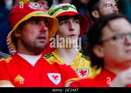 CARDIFF, PAYS DE GALLES - 08 JUIN 2022 : fans lors de la ligue A 2022 Nations League fixing entre pays de Galles et pays-Bas au Cardiff City Stadium le 8th juin 2022. (Photo de John Smith/FAW) Banque D'Images