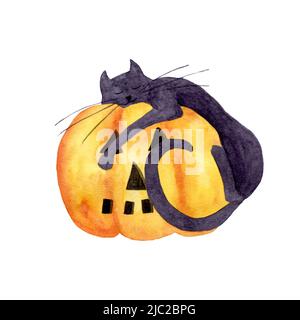 Citrouille d'halloween aquarelle. Aquarelle citrouille amusante avec chat noir. Festival d'automne. Orange Grande citrouille et chat. Banque D'Images