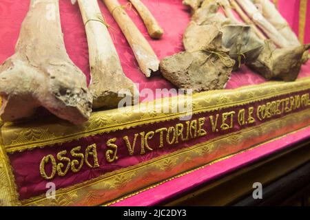 Divers os humains, pas clairement étiquetés comme Saint Lucy's, (que la cathédrale est rapporté à la maison) mais des reliques exposées dans la chapelle du Crucifix, la cathédrale de Santa Lucia à la cathédrale de Syracuse, en Sicile. Italie. (129) Banque D'Images