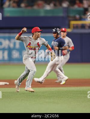 Saint-Pétersbourg, Floride. États-Unis; le second baseur de St. Louis Cardinals Tommy Edman (19) charge un coup de balle à l'infield et tourne et jette à la première dur de base Banque D'Images