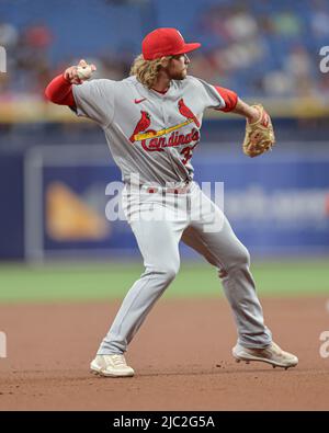 Saint-Pétersbourg, Floride. États-Unis; le troisième baseman de St. Louis Cardinals Brendan Donovan (33) se lance au premier moment d'un match de baseball de ligue majeure contre le Tampa Banque D'Images