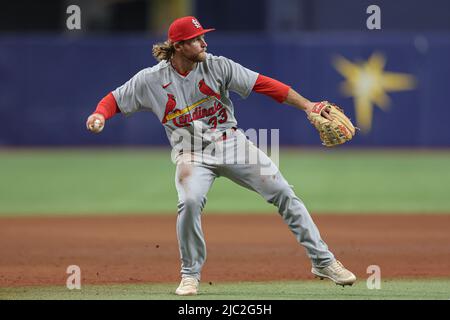 Saint-Pétersbourg, Floride. USA; St Louis Cardinals troisième baseman Brendan Donovan (33) champ une balle dans le champ d'entrée et lance au premier pour la sortie pendant un Banque D'Images