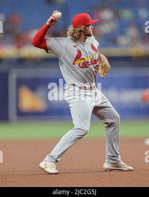 Saint-Pétersbourg, Floride. États-Unis; le troisième baseman de St. Louis Cardinals Brendan Donovan (33) se lance au premier moment d'un match de baseball de ligue majeure contre le Tampa Banque D'Images