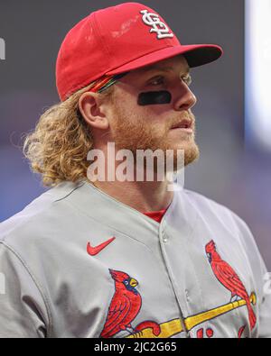 Saint-Pétersbourg, Floride. États-Unis; le premier joueur du centre des Cardinals de St. Louis, Harrison Bader (48), se dirige vers le dugout lors d'un match de baseball de ligue majeure contre le T Banque D'Images