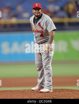 Saint-Pétersbourg, Floride. USA; St Louis Cardinals Catcher Yadier Molina (4) sourire et rendre le jeu amusant se prépare à livrer un terrain dans le fond de t Banque D'Images