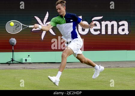 ROSMALEN - joueur de tennis Daniil Medvedev (Russie) en action contre Gilles Simon (pas en photo, France) au tournoi international de tennis Libema Open. Le tournoi combiné de tennis hollandais pour hommes et femmes se tiendra sur les terrains de pelouse d'Autotron pendant douze jours. ANP SANDER KING Banque D'Images