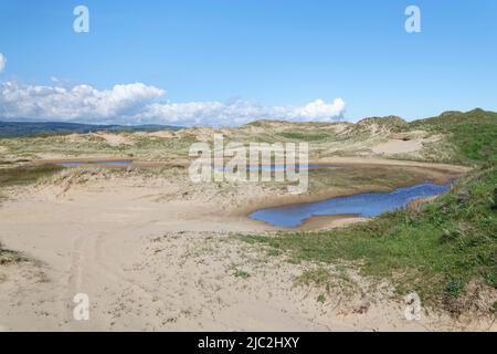Dunes côtières et dunes inondées, Kenfig NNR, Glamorgan, pays de Galles, Royaume-Uni, Mai. Banque D'Images