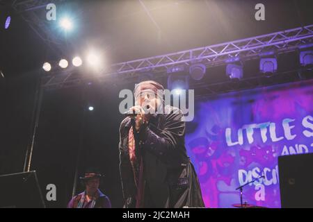 Steven Van Zandt (né Steven Lento connu sous le nom de Little Steven ou Miami Steve), il est plus connu comme un membre du groupe E Street Band de Bruce Springsteen, joue en direct sur scène avec son groupe les disciples de Soul à Villa Ada à Rome. Banque D'Images