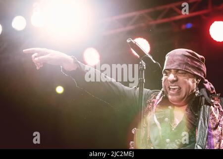 Steven Van Zandt (né Steven Lento connu sous le nom de Little Steven ou Miami Steve), il est plus connu comme un membre du groupe E Street Band de Bruce Springsteen, joue en direct sur scène avec son groupe les disciples de Soul à Villa Ada à Rome. Banque D'Images