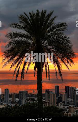 Coucher de soleil sur Honolulu, Oahu, Hawaï Banque D'Images