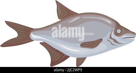 Icône Bream. Dessin animé argent poisson. Capture de pêche isolée sur fond blanc Illustration de Vecteur