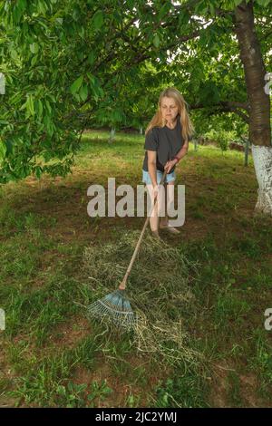 Une fille recueille de l'herbe sèche avec un râteau de jardin Banque D'Images