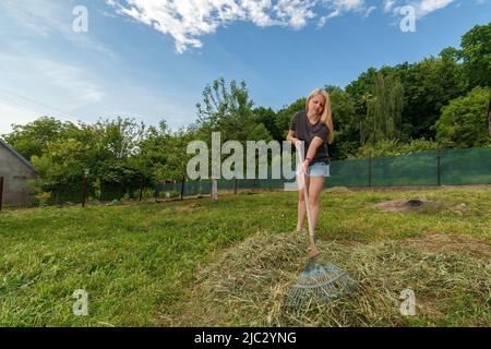 Une fille recueille de l'herbe sèche avec un râteau de jardin Banque D'Images