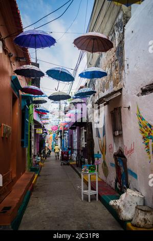 Populaire rue couverte de parapluie dans le quartier frais de Getsemani, Cartagena de Indias, Colombie Banque D'Images