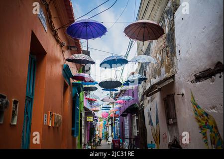 Populaire rue couverte de parapluie dans le quartier frais de Getsemani, Cartagena de Indias, Colombie Banque D'Images