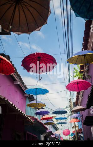 Populaire rue couverte de parapluie dans le quartier frais de Getsemani, Cartagena de Indias, Colombie Banque D'Images