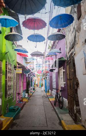 Populaire rue couverte de parapluie dans le quartier frais de Getsemani, Cartagena de Indias, Colombie Banque D'Images