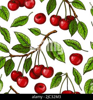 Baies de cerise colorées dessinées à la main, motif d'été sans couture. Illustration vectorielle dans un style d'esquisse coloré Illustration de Vecteur