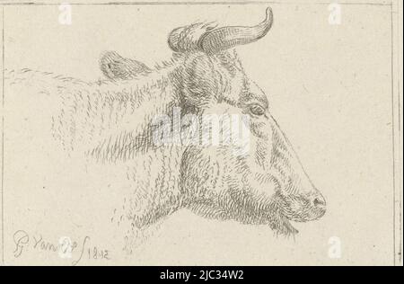 Tête de vaches, imprimeur: Pieter Gerardus van OS, (mentionné sur l'objet), pays-Bas, 1812, papier, gravure, h 50 mm - l 73 mm Banque D'Images